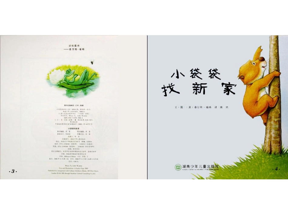 小袋袋找新家_第3页