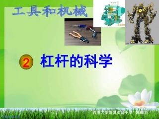 六上科学12《杠杆的科学》