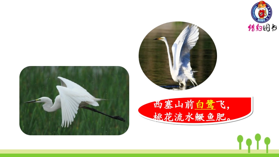 （2019秋）1白鹭 (3)_第2页