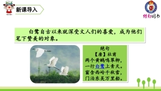 （2019秋）1白鹭 (3)