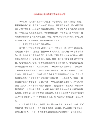 2020年县文化馆年度工作总结怎么写