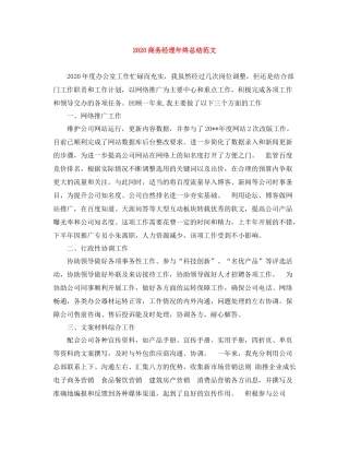 商务经理年终总结范文