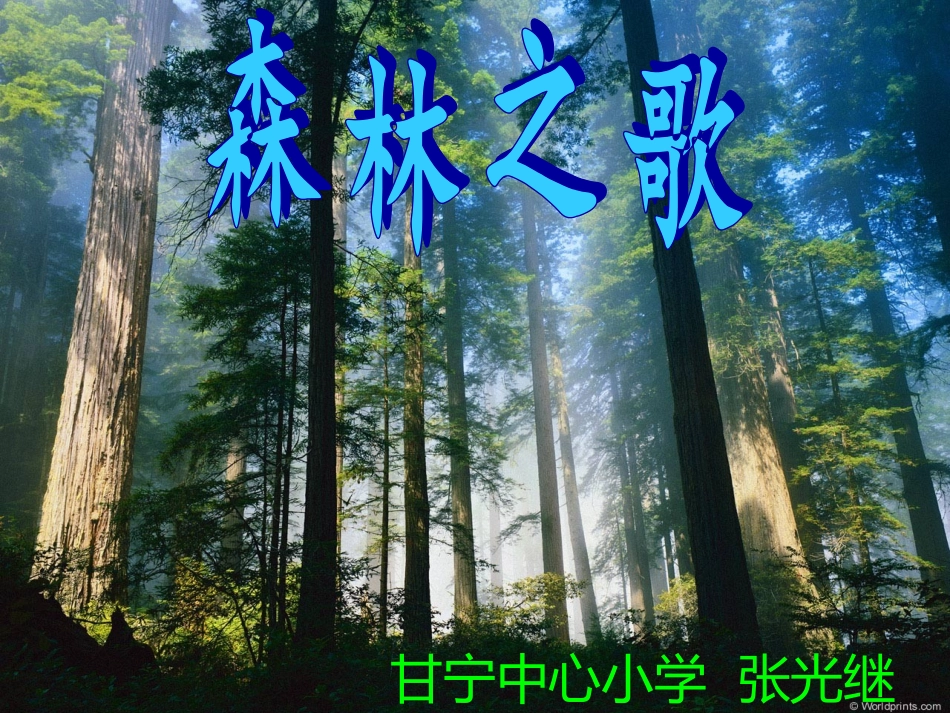 第1单元森林音乐会_第1页