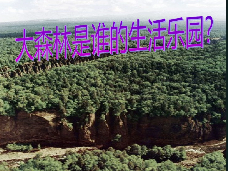 第1单元森林音乐会_第2页