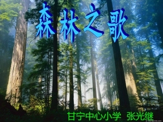 第1单元森林音乐会