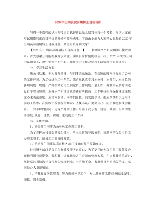 2020年出纳员试用期转正自我评价