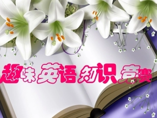三年级趣味英语竞赛PPT