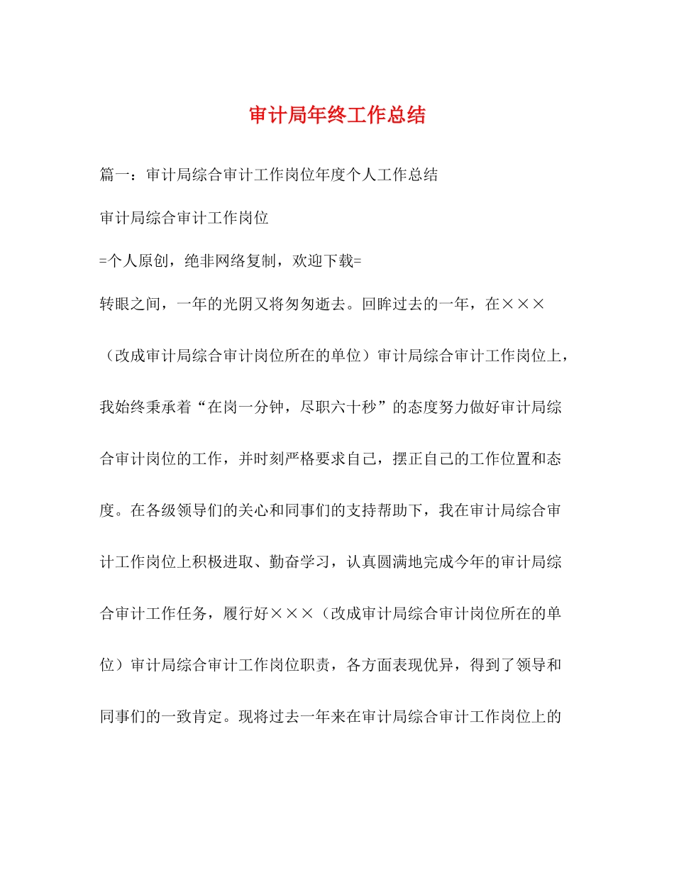 审计局年终工作总结_第1页