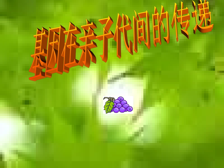第二节基因在亲子代间的传递_第1页