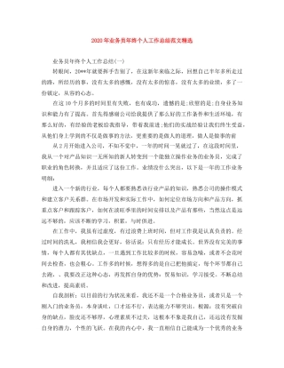 2020年业务员年终个人工作总结范文精选 