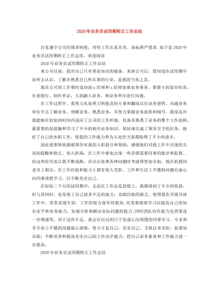 2020年业务员试用期转正工作总结 