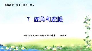 《鹿角和鹿腿》