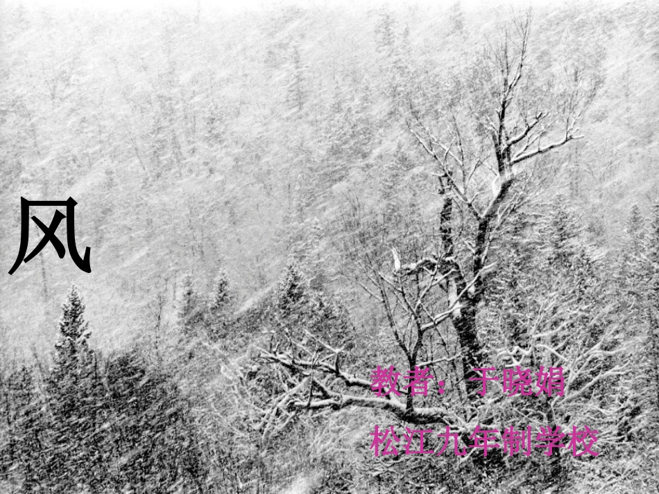 长春版小学五年级上册语文《风》课件_第1页