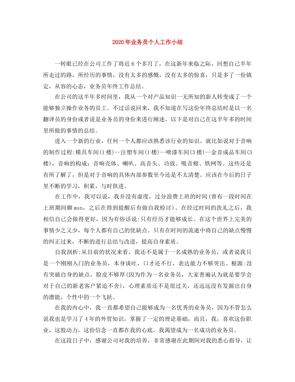 2020年业务员个人工作小结 _第1页