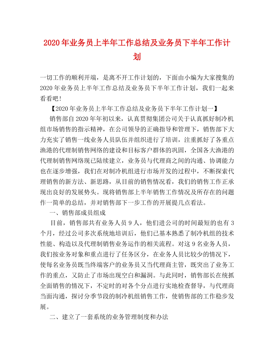 2020年业务员上半年工作总结及业务员下半年工作计划 _第1页