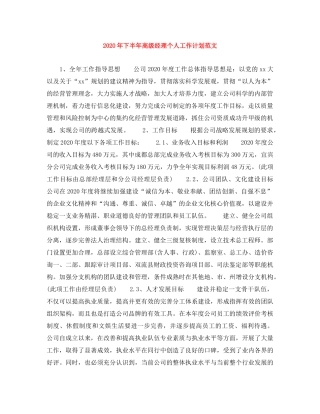 2020年下半年高级经理个人工作计划范文 