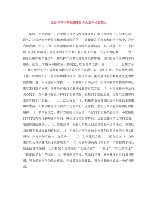 2020年下半年组织委员个人工作计划范文 