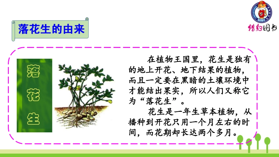 （2019秋）2落花生 (2)_第2页