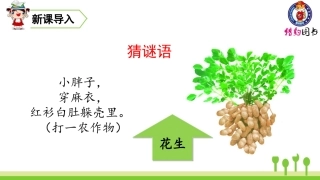 （2019秋）2落花生 (2)