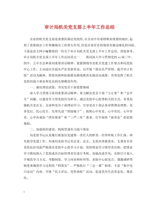 审计局机关党支部上半年工作总结