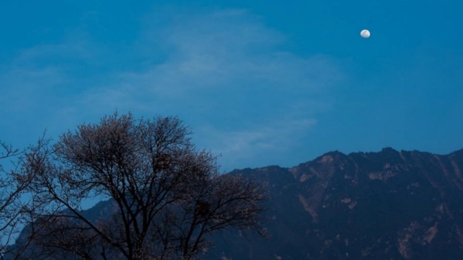 链接3：月出于东山之上，徘徊于斗牛之间_第2页