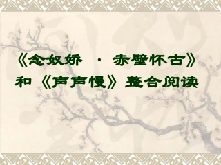 《念奴娇·赤壁怀古》《声声慢》整合阅读