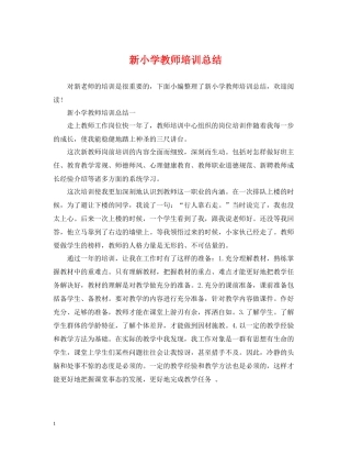 新小学教师培训总结
