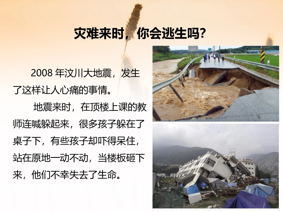 、高年级安全本领_第3页