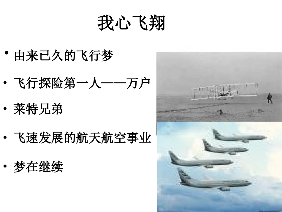 第三节空中飞行的动物_第1页