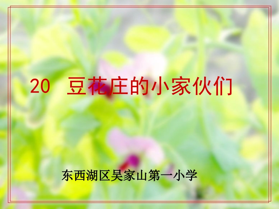 豆花庄的小家伙_第1页