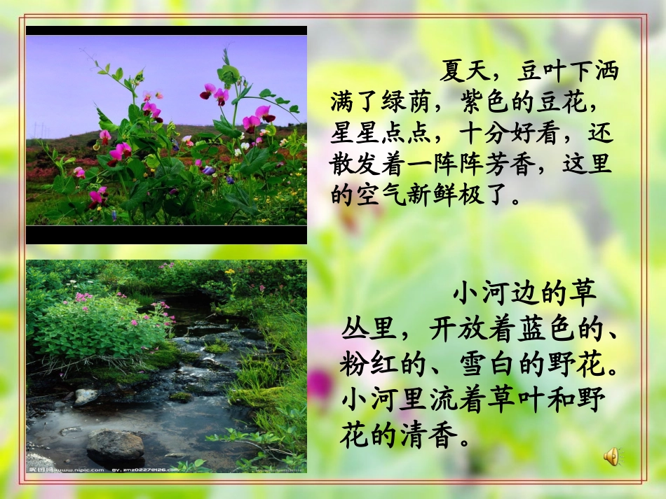 豆花庄的小家伙_第2页