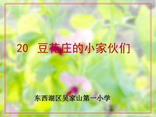 豆花庄的小家伙