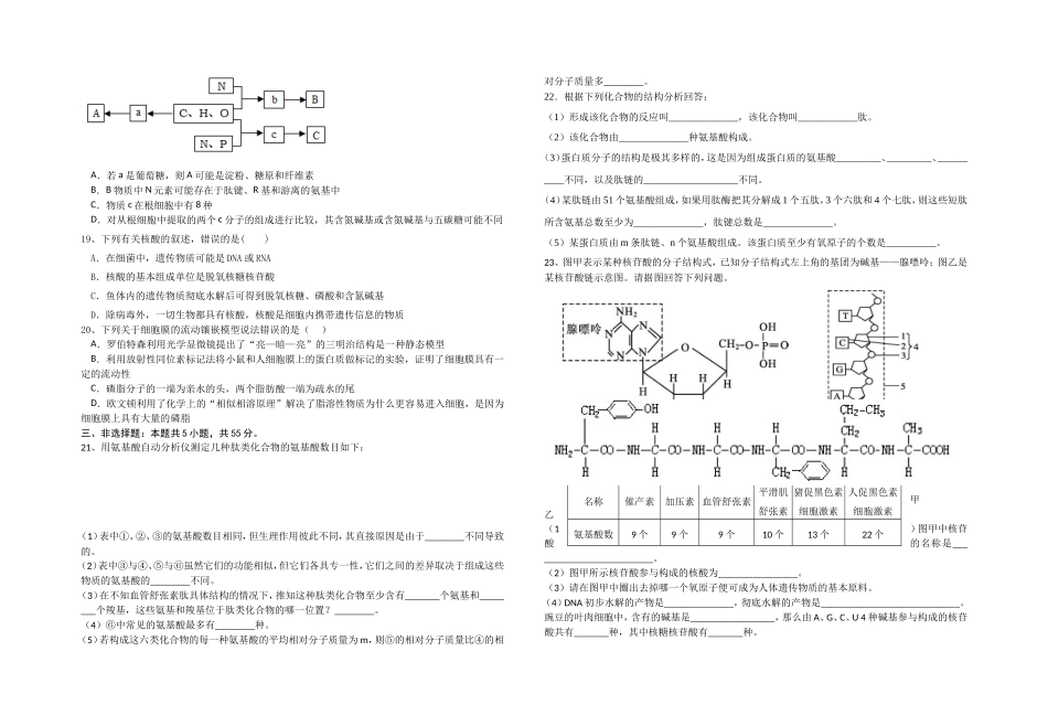 试题（蛋白质、核酸、细胞膜）_第3页