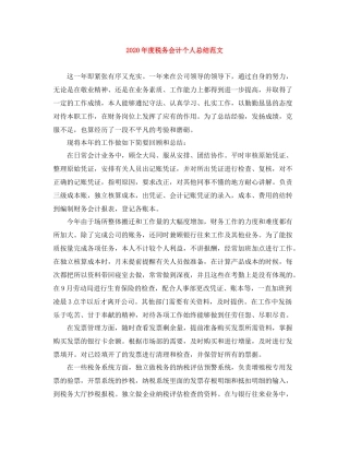 2020年度税务会计个人总结范文