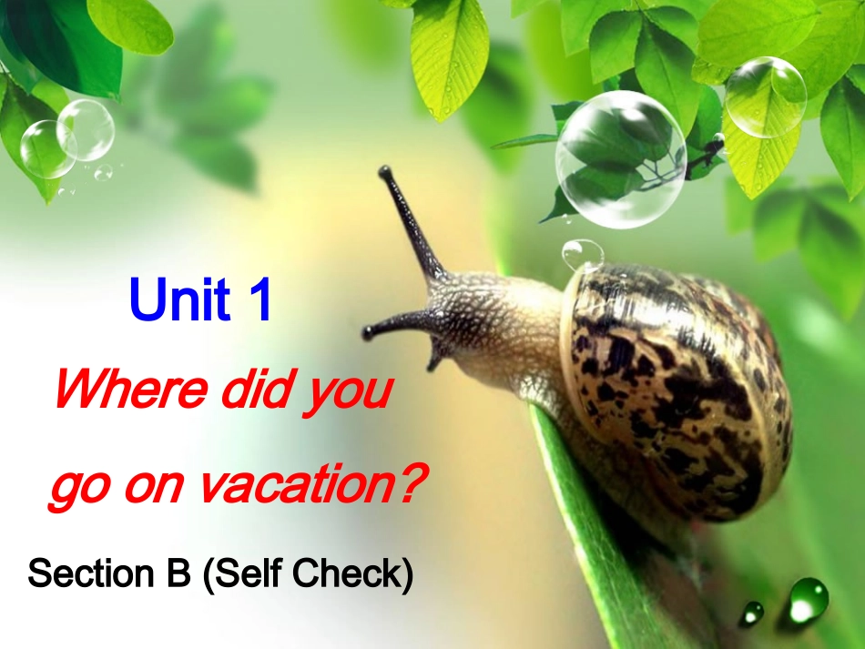 八年级上1单元第5课时_第1页