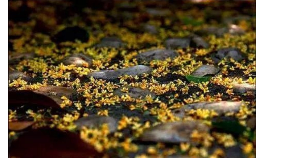 家乡的秋天资料包_第2页