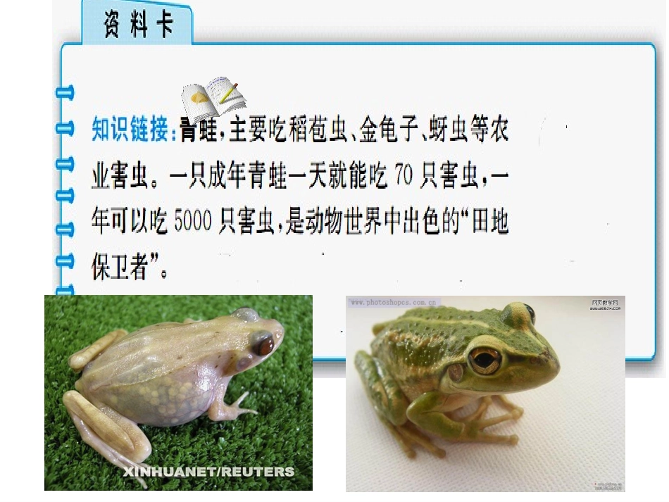 识字3《小青蛙》_第3页