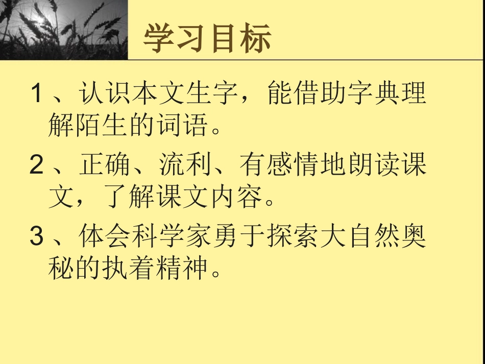 世界地图引出的发现课件_第3页