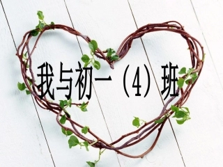 集体荣誉感主题班会(新)