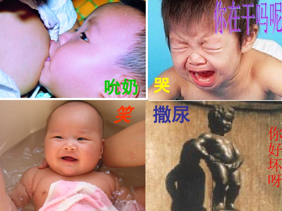 动物的行为1_第3页