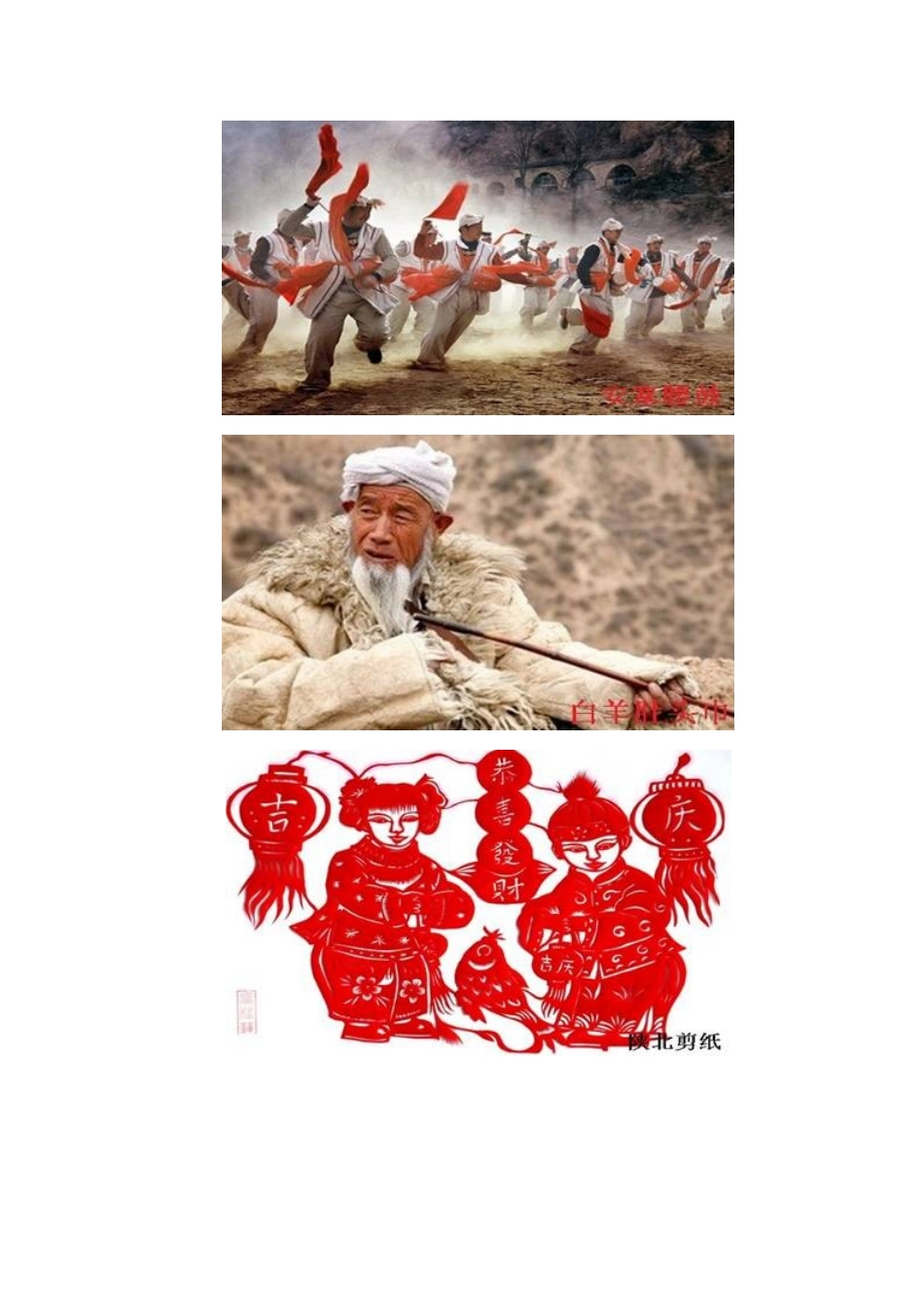 第三节世界最大的黄土堆积区——黄土高原_第3页