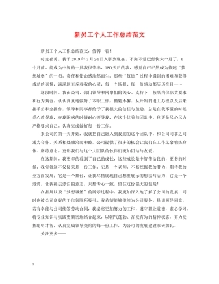 新员工个人工作总结范文