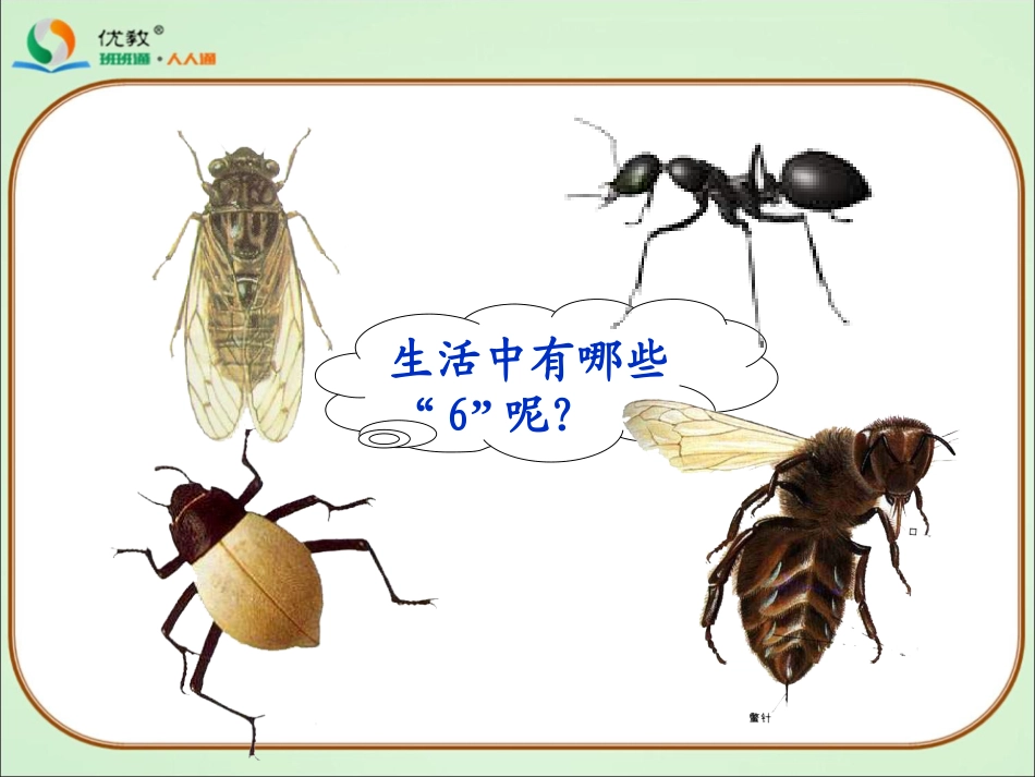 《6的乘法口诀》教学课件_第3页