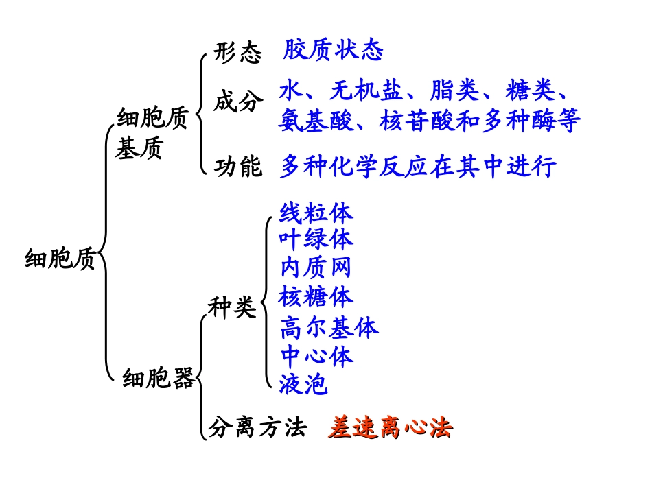 细胞器——系统内的分工合作讲_第3页
