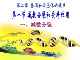 人教版生物必修二21减数分裂和受精作用新课