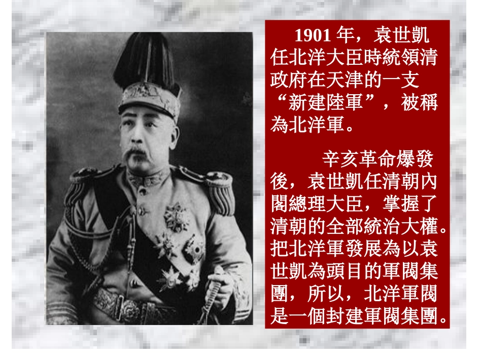 北洋军阀政府时期的近代中国_第2页