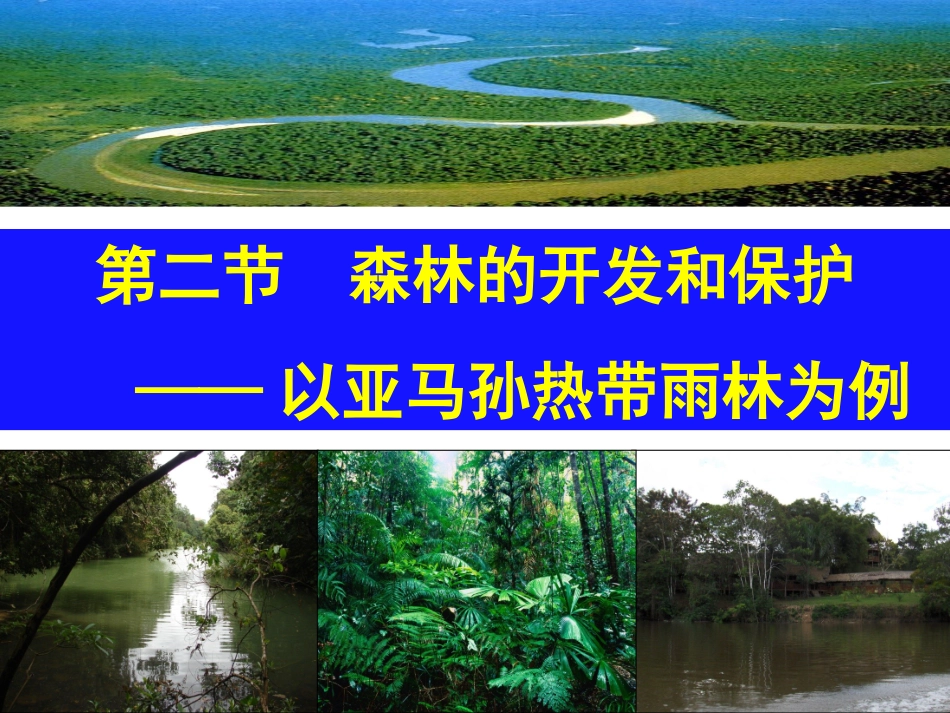 森林的开发与保护_第2页