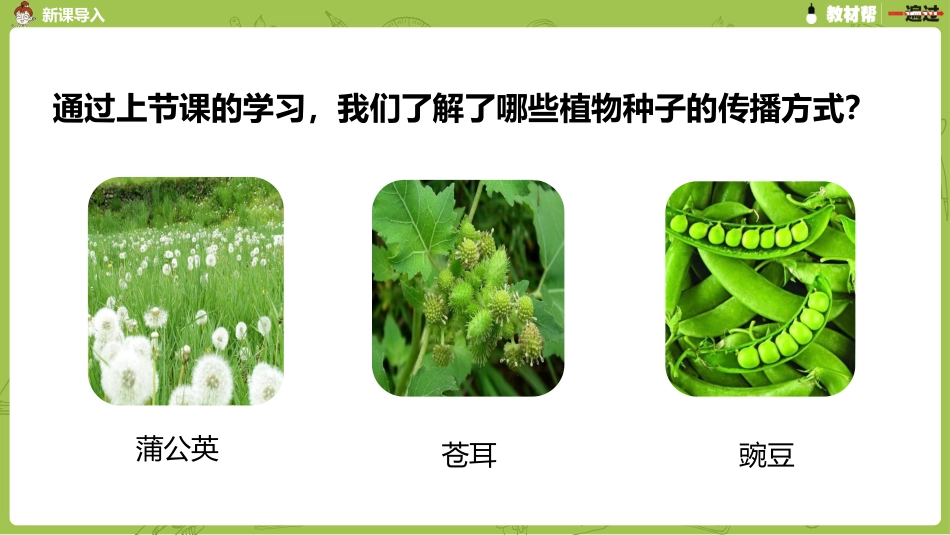 部编上二1单3《植物妈妈有办法》第二课时_第3页