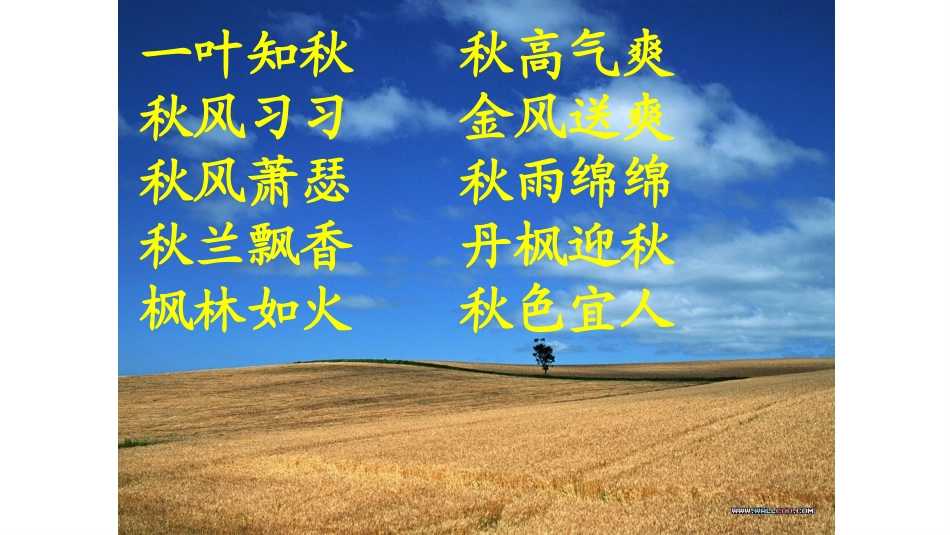 北大荒的秋天第一课时_第3页