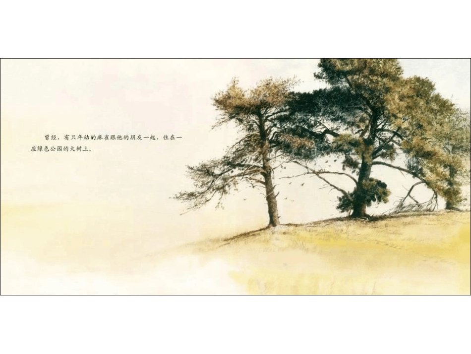 爱与关怀—断喙鸟_第3页